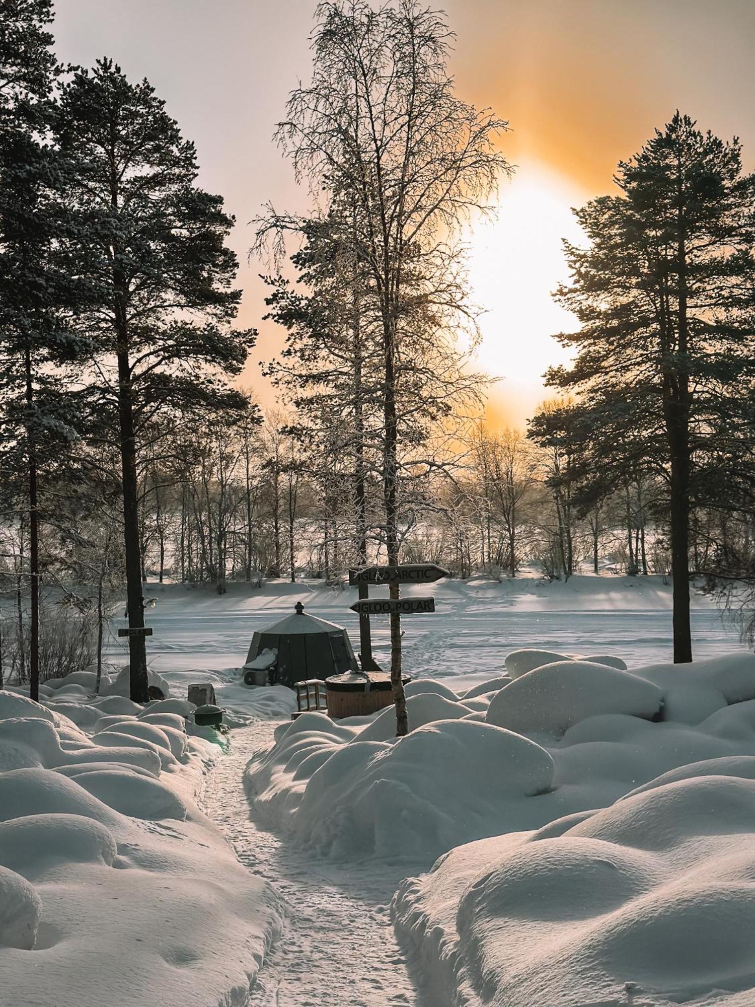 Aurora Igloo With Private Hot Tub By Invisible Forest Lodge روفانييمي المظهر الخارجي الصورة